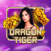 Dragon Tiger on tamabet casino